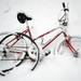 A snow-covered bicycle lies on its side Tuesday at Camp Take Notice. Melanie Maxwell I AnnArbor.com